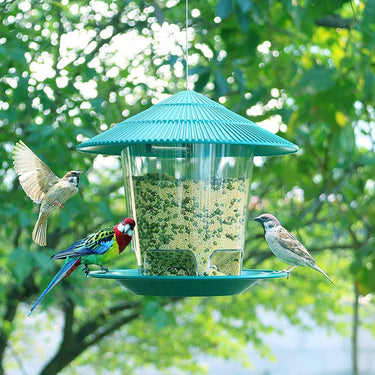 Mangeoire oiseaux terrasse